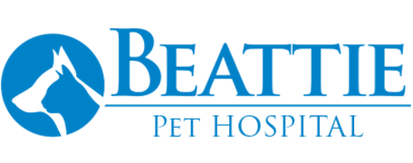 Beattie Pet Hospital - East Hamilton-HeaderLogo